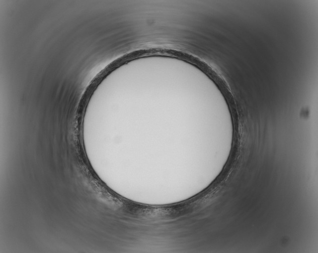 X0000116330879200912221418