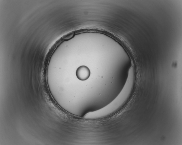 X0000116330880200912221418