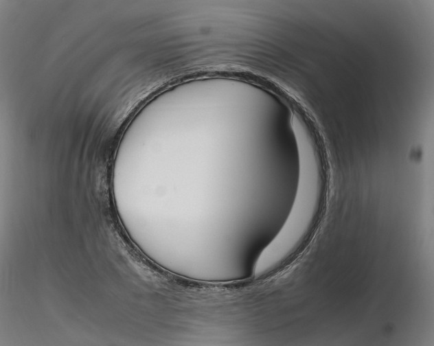 X0000116330881200912221418