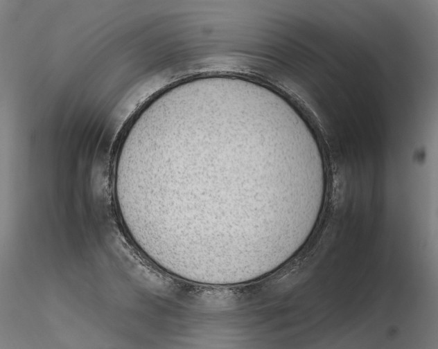 X0000116330882200912221418