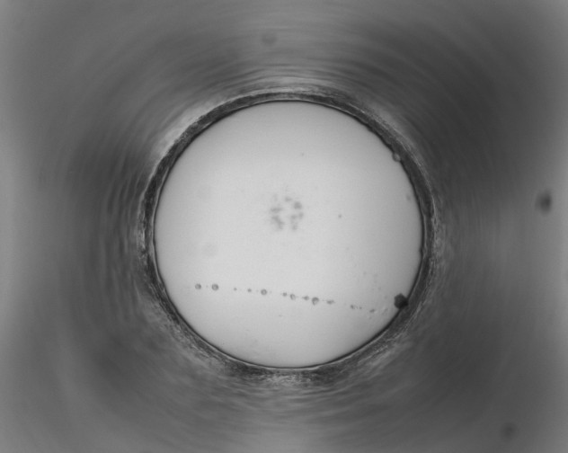 X0000116330883200912221418