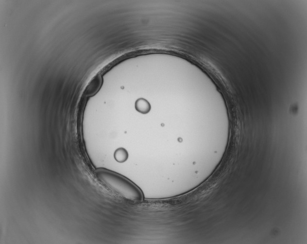 X0000116330884200912221417