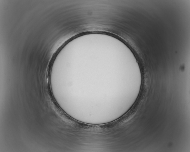 X0000116330885200912221417