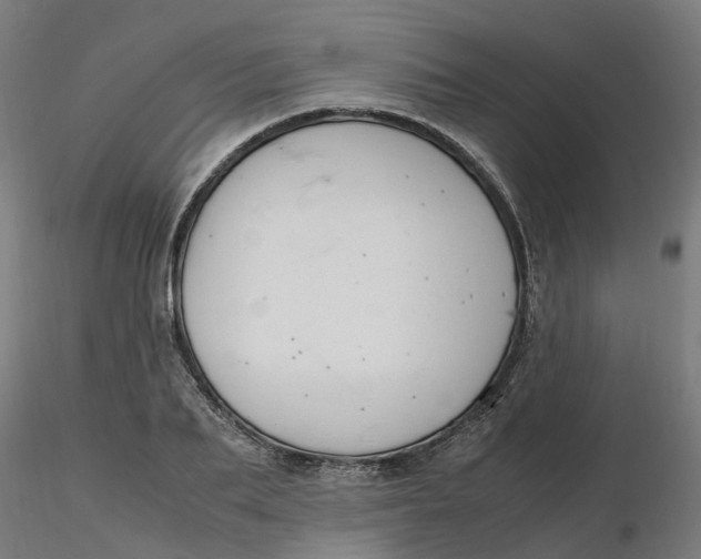 X0000116330887200912221417