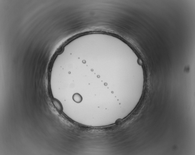 X0000116330888200912221417