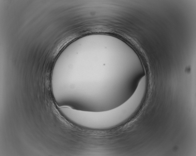 X0000116330889200912221417