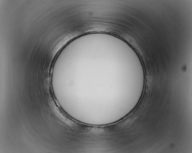 X0000116330890200912221417