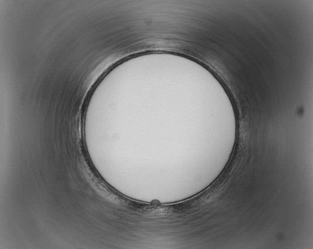 X0000116330891200912221417