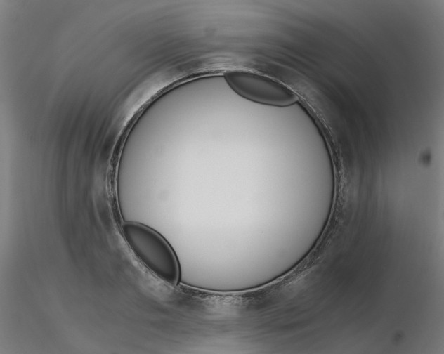 X0000116330893200912221417