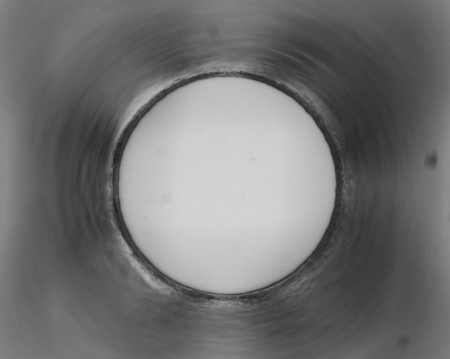 X0000116330894200912221417