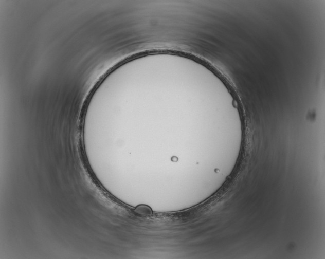 X0000116330895200912221417