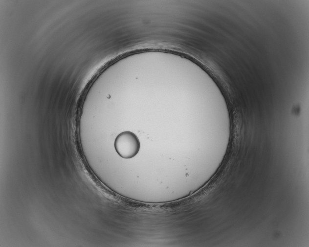 X0000116330896200912221417