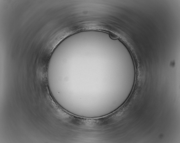 X0000116330897200912221417