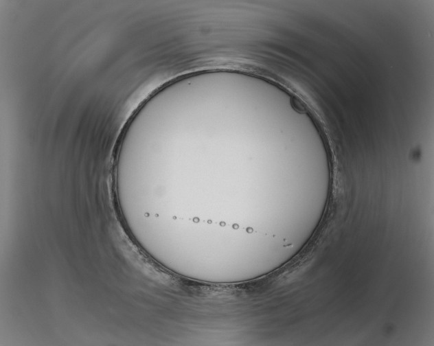 X0000116330899200912221417