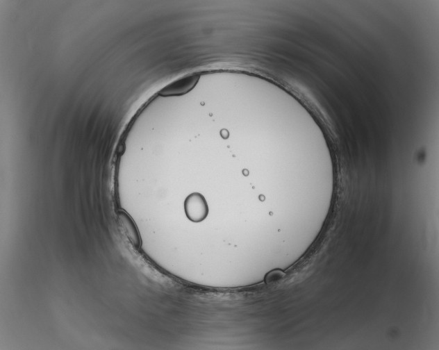 X0000116330900200912221417