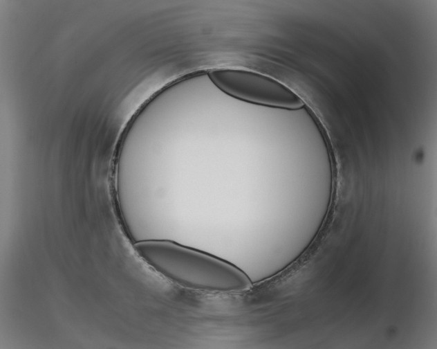 X0000116330901200912221417