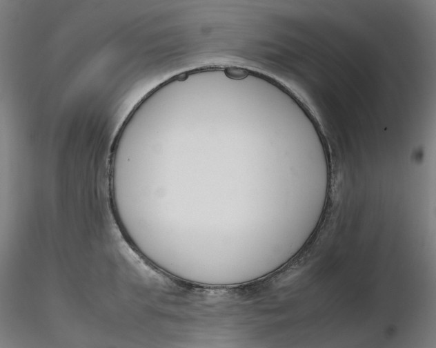 X0000116330903200912221417