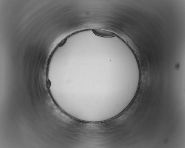 X0000116330904200912221417