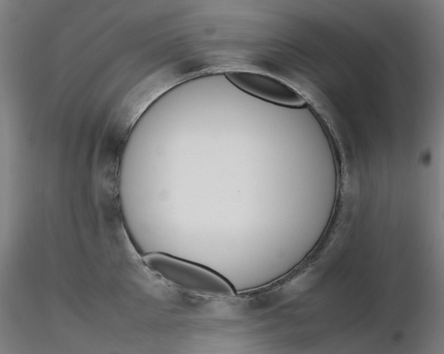 X0000116330905200912221417