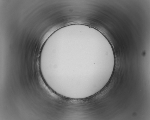 X0000116330906200912221417