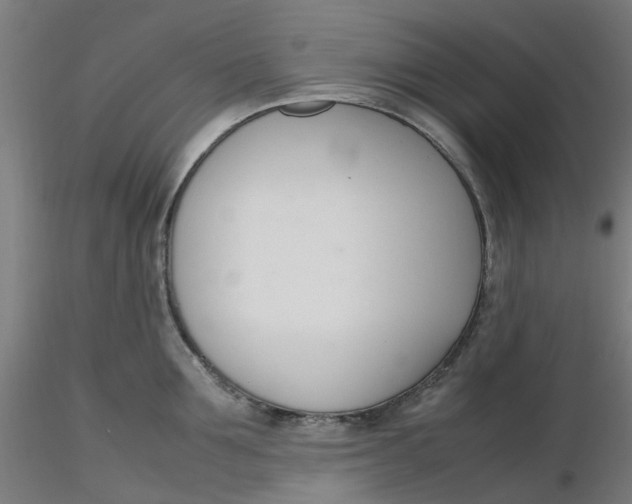 X0000116330907200912221417