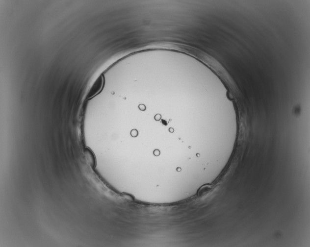 X0000116330908200912221417