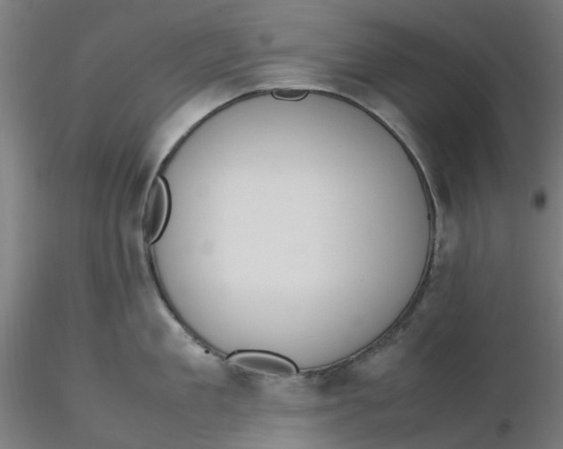 X0000116330909200912221417