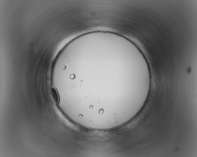 X0000116330910200912221417