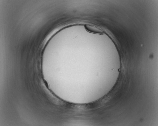 X0000116330911200912221417