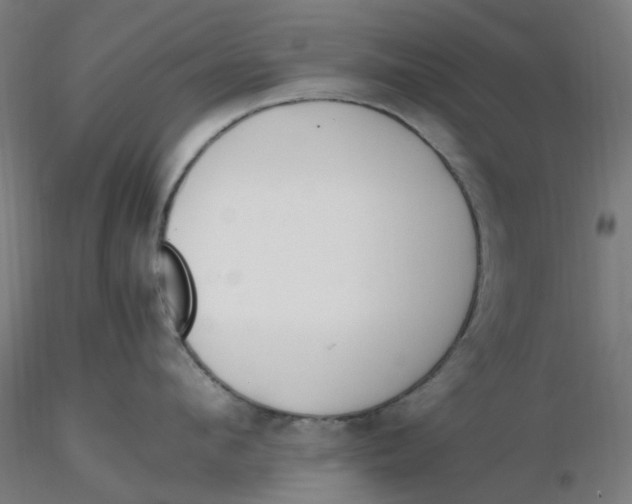 X0000116330912200912221417