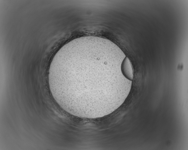 X0000116330913200912221416