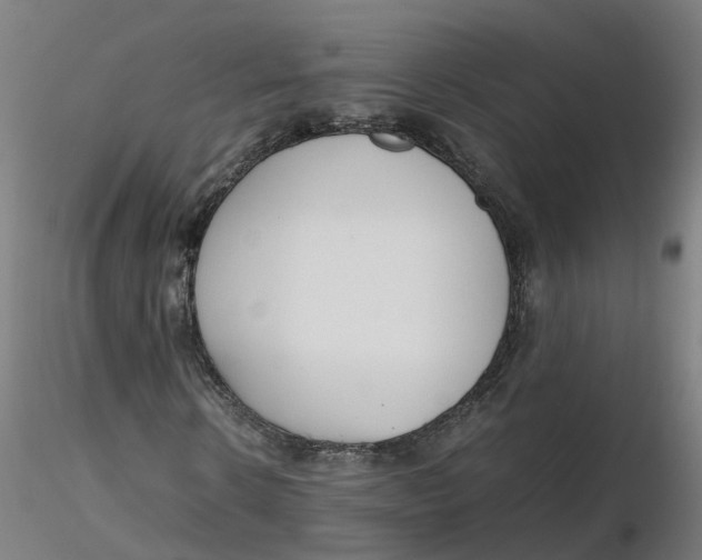 X0000116330914200912221416