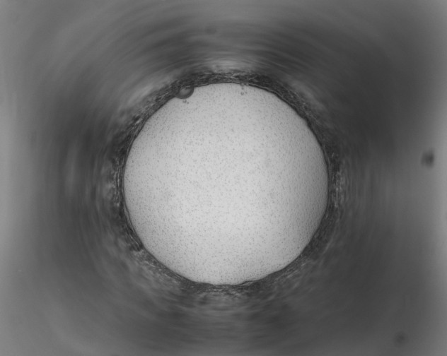 X0000116330917200912221417