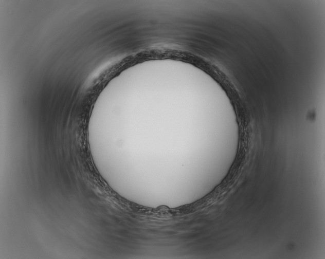 X0000116330919200912221417