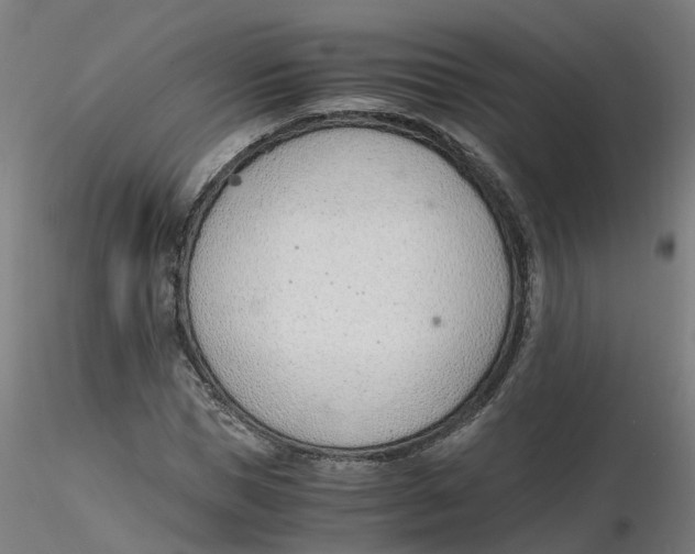 X0000116330921200912221417