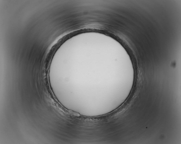 X0000116330923200912221417