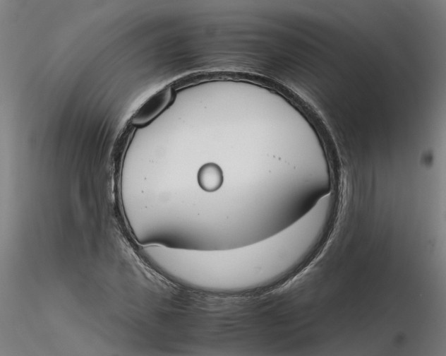 X0000116330925200912221417