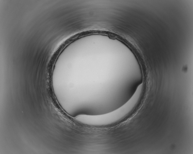 X0000116330926200912221417