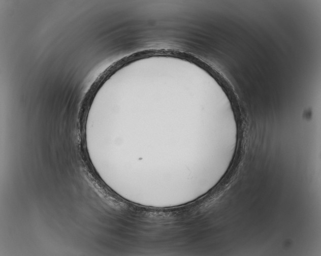 X0000116330927200912221417