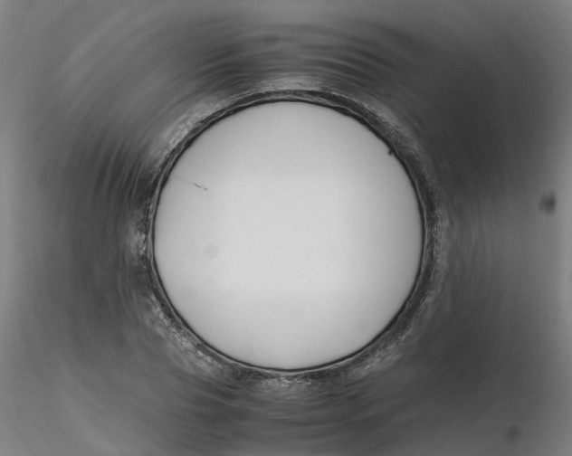 X0000116330929200912221417