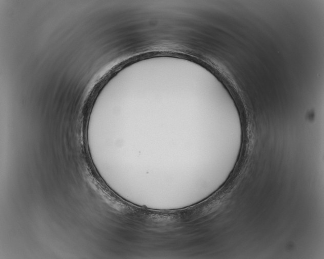 X0000116330931200912221417