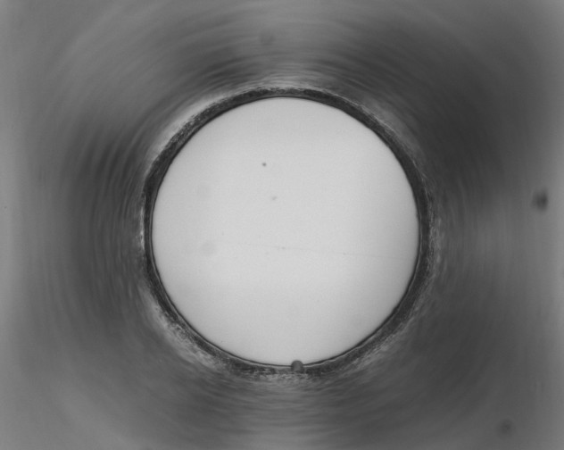 X0000116330934200912221417