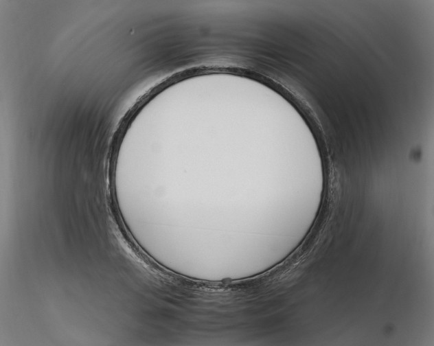 X0000116330935200912221417