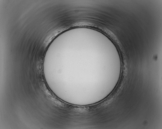 X0000116330937200912221417