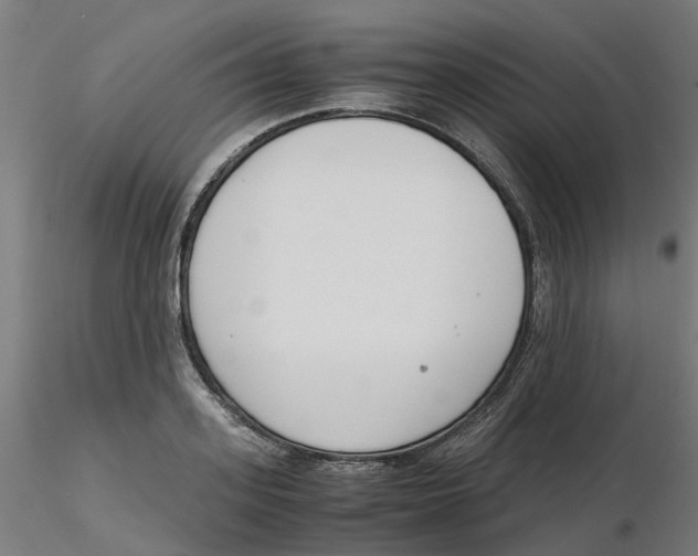 X0000116330939200912221417