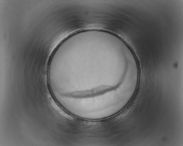 X0000116330941200912221417