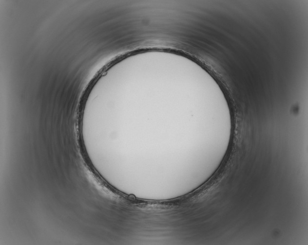 X0000116330942200912221417