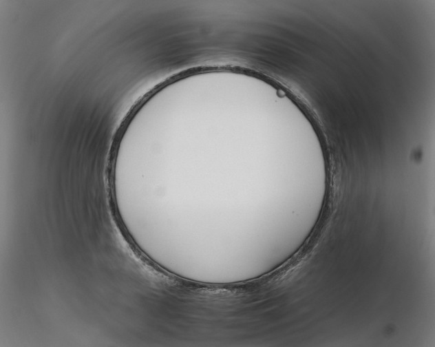 X0000116330943200912221417