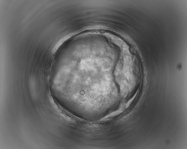 X0000116330945200912221417