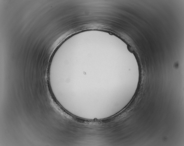 X0000116330946200912221417